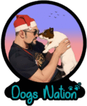 Dogs Nation – Pet Boarding and Day care